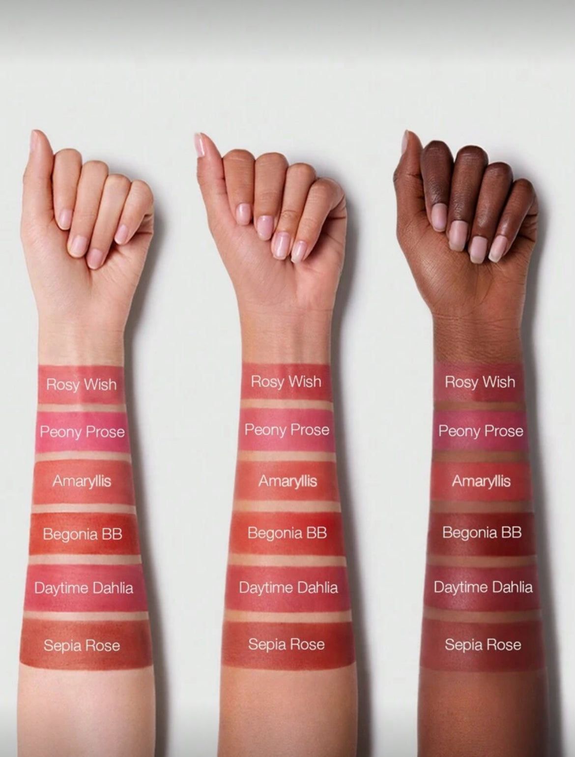 Paleta de 6 rubores en polvo Sheglam
