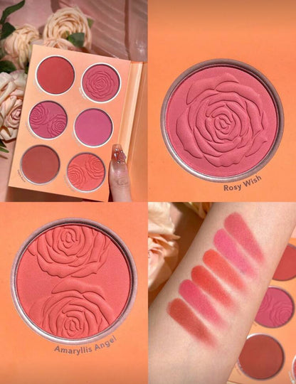 Paleta de 6 rubores en polvo Sheglam