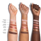 CHROMAPLUS 6-PAN EYESHADOW PALETTE OUTER SPICE